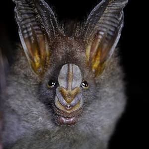 Meet your Posher, Simon